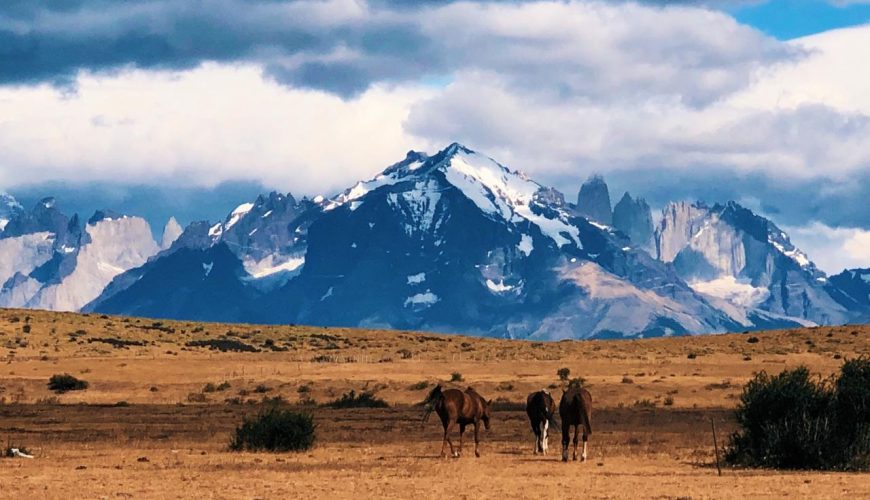 Base Torres del Paine, Patagonia,Chile, Travel, Prisma Andino