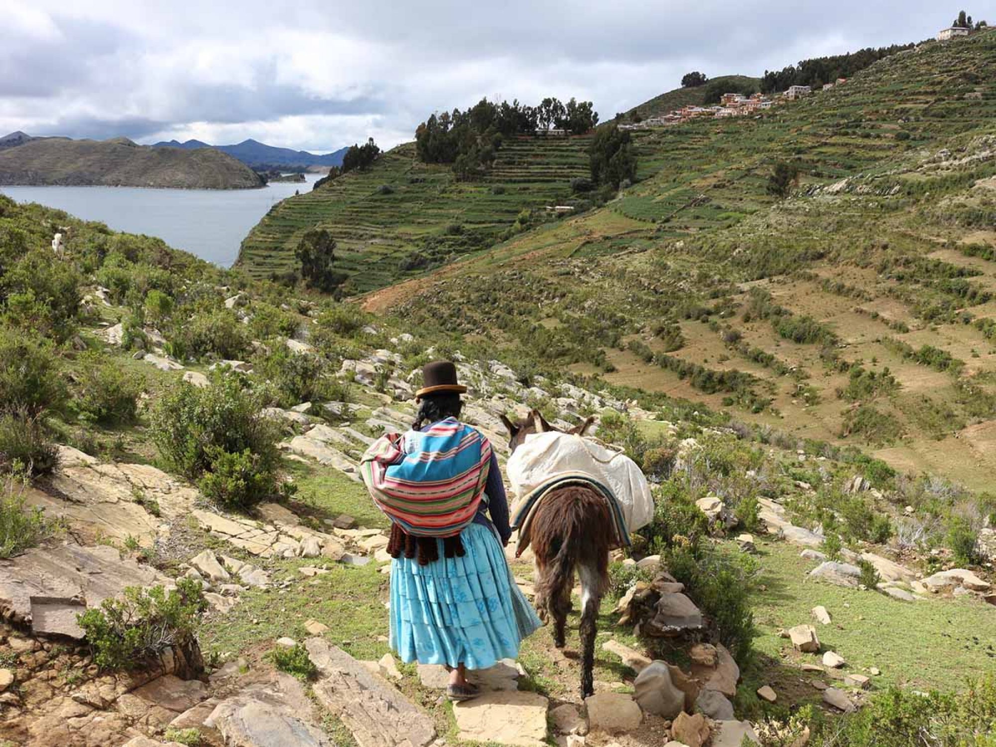 titicaca lake bolivia cholita Travel, Prisma Andino