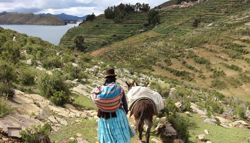 titicaca lake bolivia cholita Travel, Prisma Andino